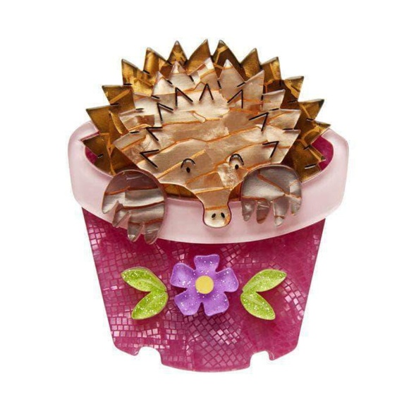 Erstwilder Accessories - Erstwilder Spiney Seedling Echidna Brooch